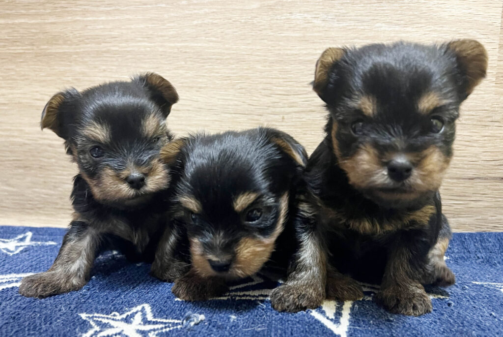 9月28日撮影