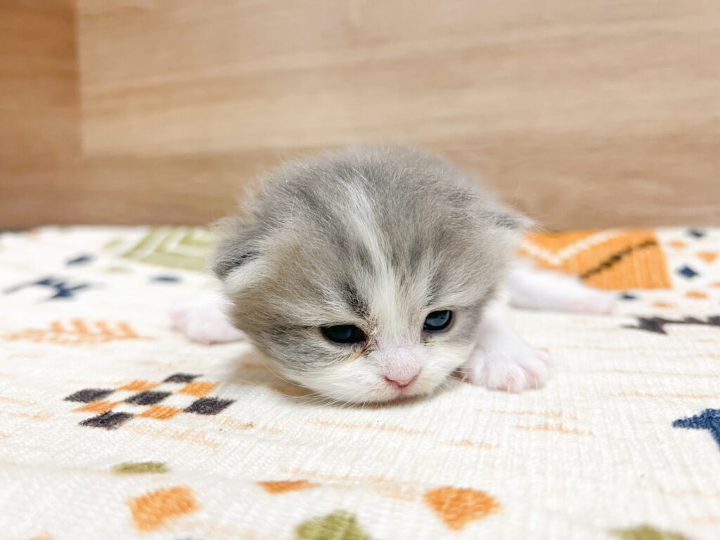 すくすく育ってます♡