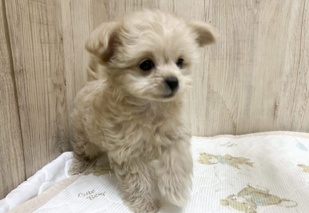 元気いっぱいの男の子★