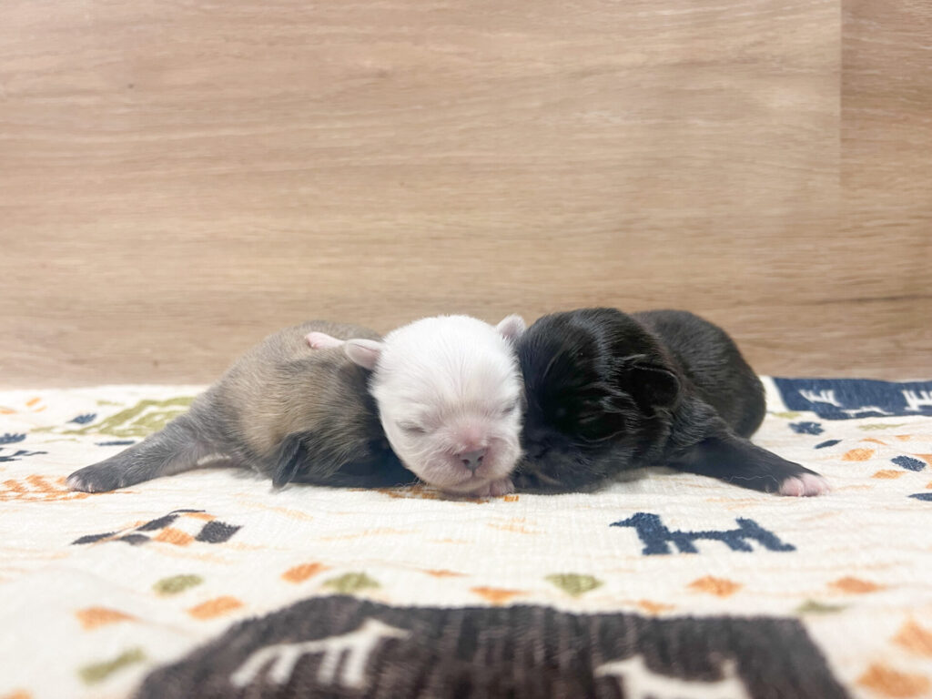 すくすく大きくなぁれ⸜❤︎⸝