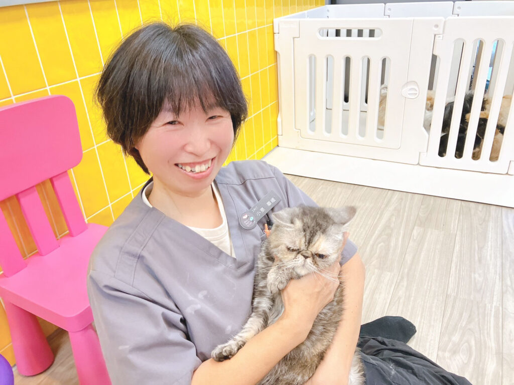 小泉