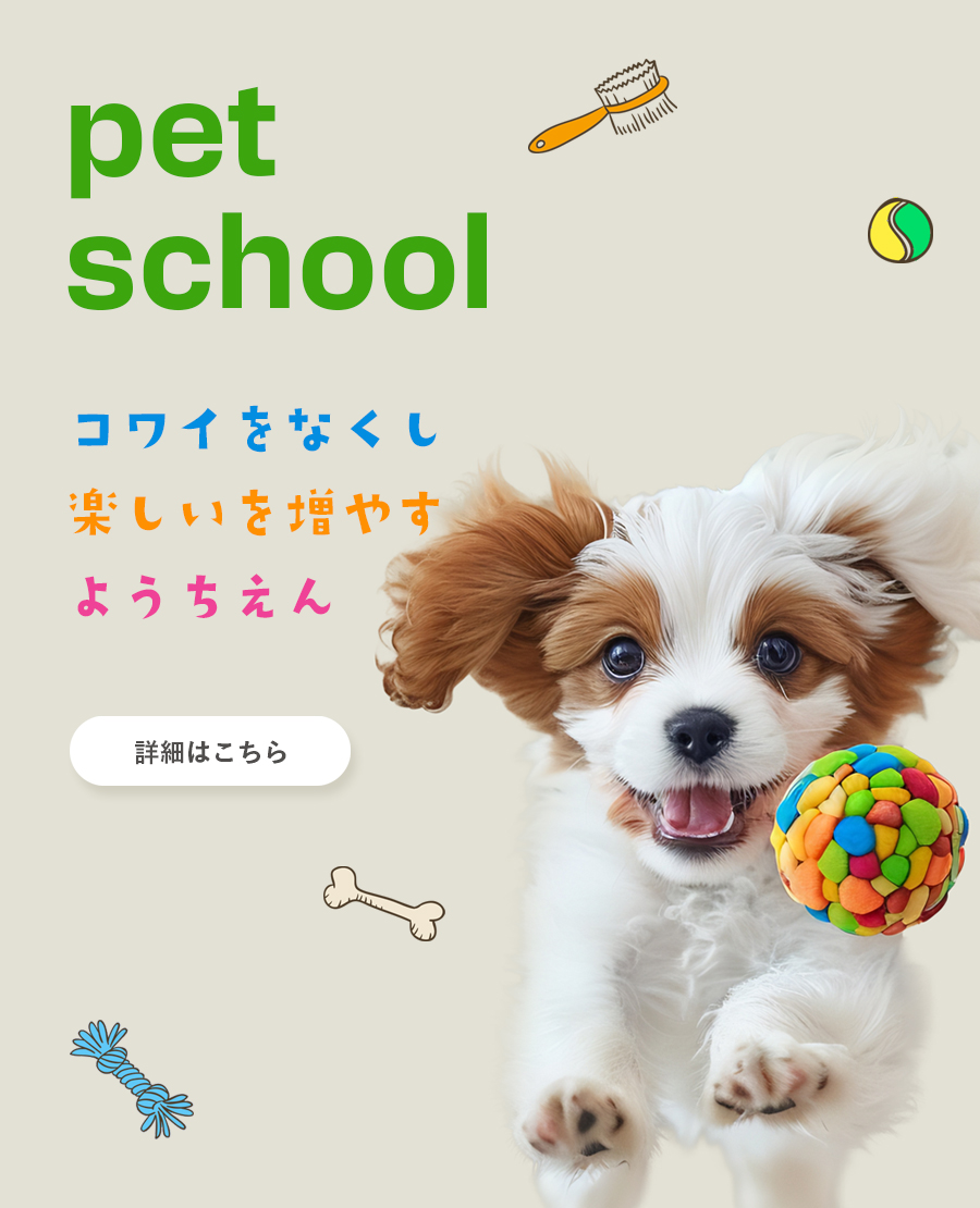 犬の幼稚園
